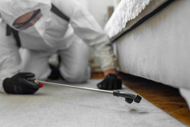 Professional Bed Bug Control technician working in Louisville, OH