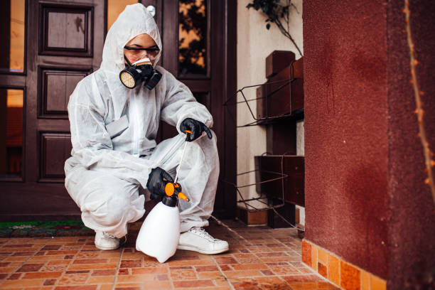 Reliable Bed Bug Control contractor in Louisville, OH by Nex Pest Control